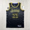 LeBron James #23 Los Angeles Lakers